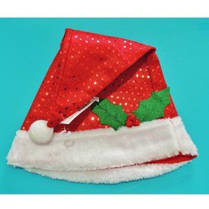 Sequin Santa Hat Mixit JcPenney - NWT